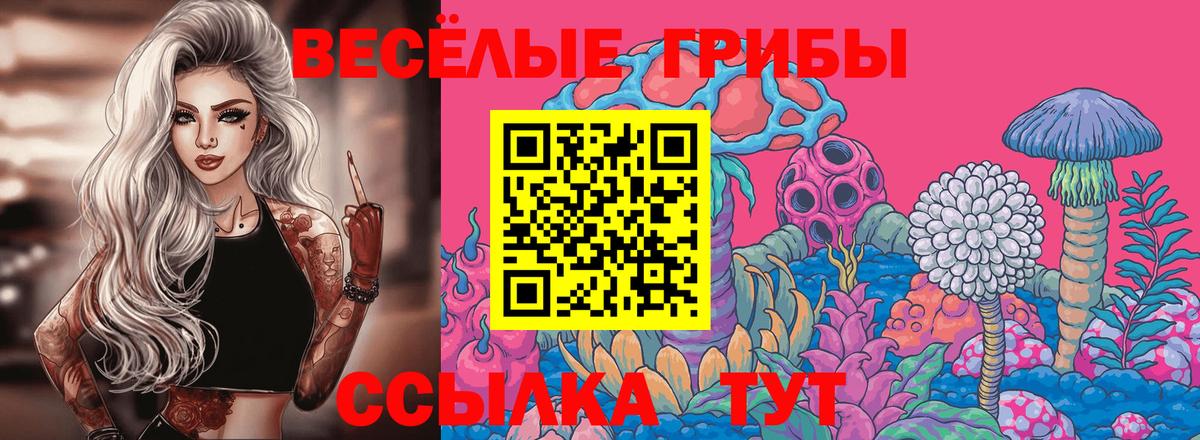 Псилоцибиновые грибы MAGIC MUSHROOMS Арсеньев