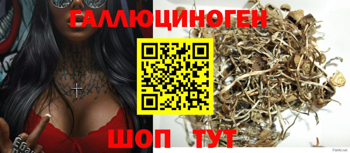 Арсеньев  Галлюциногенные грибы Psilocybe  Вход с VPN  Псилоцибиновые грибы MAGIC MUSHROOMS 
